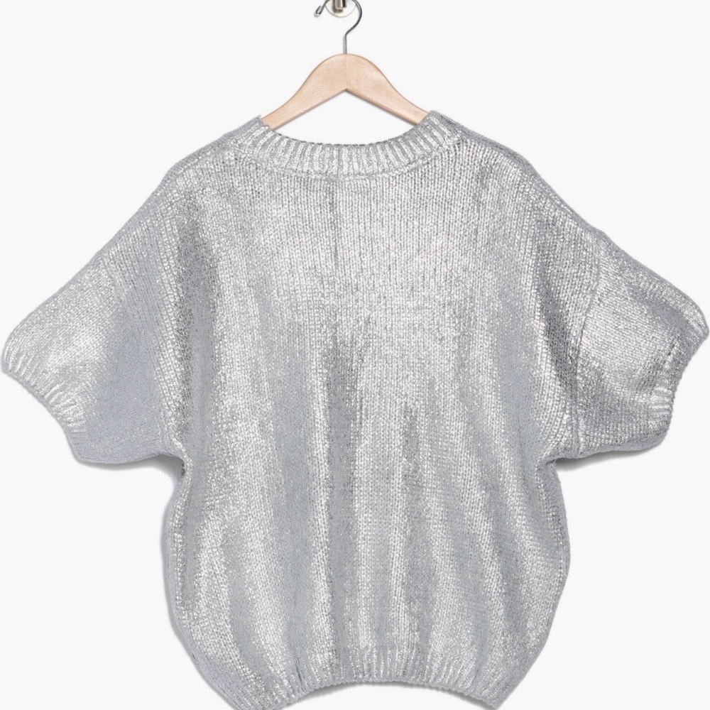 Vigoss Shimmering Silver Women's Sweater